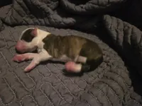 processed/c6b9402a-0240-41d5-ad4f-0721df4d601f/listing/ec01b092-1fd0-4c22-a735-56a4846f753f/ee90d9aa-5cb7-421f-8e09-de7489a317bb