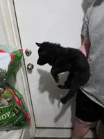 processed/c6b9ee19-5d87-48d5-b61e-ec0bcce05f7b/listing/7d074e60-0b8e-466b-9589-7219894d8791/0edb0169-8d78-404c-9fcc-0ab4b263eb55