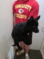 processed/c6b9ee19-5d87-48d5-b61e-ec0bcce05f7b/listing/7d074e60-0b8e-466b-9589-7219894d8791/84460bee-ee64-4edf-9cf0-ce7a6f1e2ece