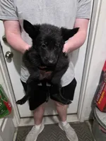 processed/c6b9ee19-5d87-48d5-b61e-ec0bcce05f7b/listing/7d074e60-0b8e-466b-9589-7219894d8791/9a98d3be-c728-46c4-93ac-47768615b134