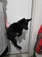 processed/c6b9ee19-5d87-48d5-b61e-ec0bcce05f7b/listing/7d074e60-0b8e-466b-9589-7219894d8791/b9990665-3e33-4a11-9aab-79d246c315a2