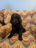 processed/c6c5576a-53d0-4703-a463-c187d142fa8c/listing/1b368c9b-9ae2-4c51-bc1f-5d44f5faa005/5e6a68e5-2a15-4a69-b0ff-ce75ea55a15f