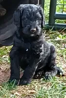 processed/c6c5576a-53d0-4703-a463-c187d142fa8c/listing/1b368c9b-9ae2-4c51-bc1f-5d44f5faa005/5ff5797f-6ca6-400a-834d-711c2cef5113