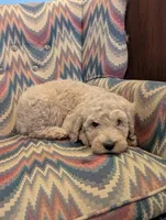 processed/c6c5576a-53d0-4703-a463-c187d142fa8c/listing/84bea4a2-ba45-4cf0-828c-8c1b506cd1be/55283e8f-2784-4642-91a5-07e1eb57818f