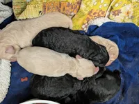 processed/c6c5576a-53d0-4703-a463-c187d142fa8c/listing/84bea4a2-ba45-4cf0-828c-8c1b506cd1be/81aab936-2f78-4ffb-80dc-4c0ce14a1093