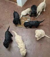 processed/c6c5576a-53d0-4703-a463-c187d142fa8c/listing/84bea4a2-ba45-4cf0-828c-8c1b506cd1be/e5b6e2f0-c3c5-4a35-8812-0ce6d94d7c71