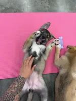 processed/c6cb53d5-b902-4c56-a90d-42f5e9a86c19/facility/034a6560-19b2-4f24-be69-fb7e83c3a5dd