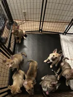 processed/c6cb53d5-b902-4c56-a90d-42f5e9a86c19/facility/662d8f11-290b-47e0-a12e-280de5153abd