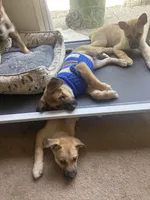 processed/c6cb53d5-b902-4c56-a90d-42f5e9a86c19/facility/99cf8d02-3ed1-43c3-8833-55f9813431d2