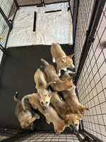 processed/c6cb53d5-b902-4c56-a90d-42f5e9a86c19/facility/a09a83d7-1a4d-4332-b0f2-75100c13bfef