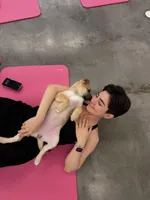 Rarri, a female Siberian Husky and Black Mouth Cur for sale in Walnut Creek, CA – Photo 4 of 10