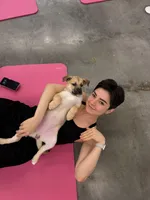 Rarri, a female Siberian Husky and Black Mouth Cur for sale in Walnut Creek, CA – Photo 5 of 10