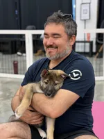 Audi, a female Siberian Husky and Black Mouth Cur for sale in Walnut Creek, CA – Photo 4 of 10