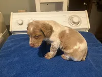 processed/c6d9931b-f795-40b5-82d6-ce9c97bdcf3a/listing/253c6c76-2b73-406c-8352-bb17aae9c710/3c2d3e16-b3de-4dae-92af-5fc7697d6bc9