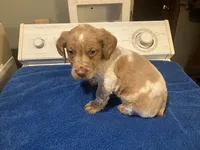 processed/c6d9931b-f795-40b5-82d6-ce9c97bdcf3a/listing/253c6c76-2b73-406c-8352-bb17aae9c710/7985ea33-2941-487d-bc3d-f88f696f6ad6