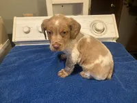 processed/c6d9931b-f795-40b5-82d6-ce9c97bdcf3a/listing/253c6c76-2b73-406c-8352-bb17aae9c710/92253776-8073-4fe4-97b3-768a3829a26f