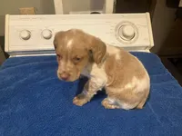 processed/c6d9931b-f795-40b5-82d6-ce9c97bdcf3a/listing/253c6c76-2b73-406c-8352-bb17aae9c710/dabde7ce-7a30-43e9-ae18-7541802df458