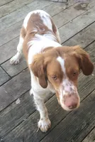 processed/c6d9931b-f795-40b5-82d6-ce9c97bdcf3a/listing/e9126deb-61f4-47fc-9d57-a5c1f771d0fb/08b11b8f-833f-43bd-b510-68ac87a5d3db