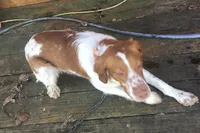 processed/c6d9931b-f795-40b5-82d6-ce9c97bdcf3a/listing/e9126deb-61f4-47fc-9d57-a5c1f771d0fb/66ac5ba9-7491-4a70-90ee-067bf29701b2