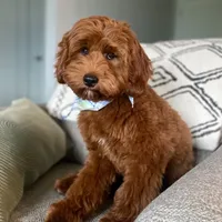 processed/c6dda431-8753-43c7-bb1c-0c634d48f3d2/facility/0ddaddb7-a026-4f72-927b-1eb9ead4a2e9