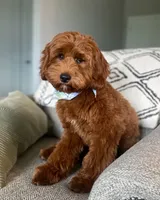 processed/c6dda431-8753-43c7-bb1c-0c634d48f3d2/facility/0ddaddb7-a026-4f72-927b-1eb9ead4a2e9