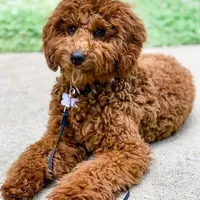 processed/c6dda431-8753-43c7-bb1c-0c634d48f3d2/facility/2c901438-1961-4b09-be61-558fbbee1918