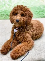 processed/c6dda431-8753-43c7-bb1c-0c634d48f3d2/facility/2c901438-1961-4b09-be61-558fbbee1918