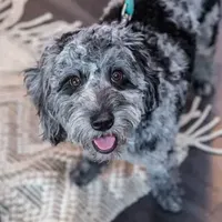 processed/c6dda431-8753-43c7-bb1c-0c634d48f3d2/facility/5ac7342f-8fda-43e6-b04a-43d4917edd78