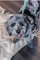 processed/c6dda431-8753-43c7-bb1c-0c634d48f3d2/facility/5ac7342f-8fda-43e6-b04a-43d4917edd78