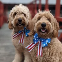 processed/c6dda431-8753-43c7-bb1c-0c634d48f3d2/facility/70060cd8-c213-476c-9c15-71421cc3305f