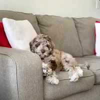 processed/c6dda431-8753-43c7-bb1c-0c634d48f3d2/facility/c8039a56-66b4-489c-a90c-289a858afba0