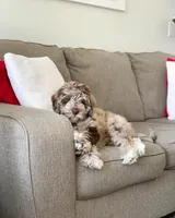 processed/c6dda431-8753-43c7-bb1c-0c634d48f3d2/facility/c8039a56-66b4-489c-a90c-289a858afba0