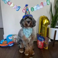 processed/c6dda431-8753-43c7-bb1c-0c634d48f3d2/facility/e2c87dbb-e3ac-420f-a3c6-6579949a3775