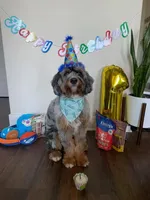 processed/c6dda431-8753-43c7-bb1c-0c634d48f3d2/facility/e2c87dbb-e3ac-420f-a3c6-6579949a3775