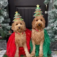 processed/c6dda431-8753-43c7-bb1c-0c634d48f3d2/facility/f428d612-6ff5-4e0f-9690-60f1c974aeec