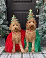 processed/c6dda431-8753-43c7-bb1c-0c634d48f3d2/facility/f428d612-6ff5-4e0f-9690-60f1c974aeec