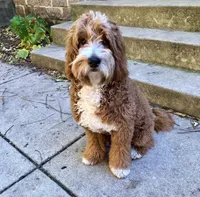 processed/c6dda431-8753-43c7-bb1c-0c634d48f3d2/facility/ff900084-3261-4f13-823d-c167458c7288