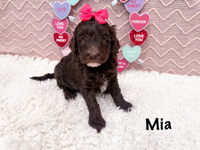 Mia