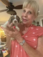 processed/c6de2610-cabb-4a21-b945-dff2f15626d2/facility/16c1912e-1792-4335-a678-75a6449e7814