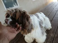 processed/c6de2610-cabb-4a21-b945-dff2f15626d2/facility/ee9a7c36-3f14-466f-992f-661e9c4d7447