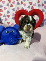 processed/c6de2610-cabb-4a21-b945-dff2f15626d2/listing/2be1b9e7-92a5-4ea7-891d-a719e97dda4f/3e69424a-afba-4c94-8f50-b0246f280f70