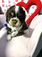 processed/c6de2610-cabb-4a21-b945-dff2f15626d2/listing/2be1b9e7-92a5-4ea7-891d-a719e97dda4f/41002941-5bac-472e-9ddd-31f807e9357b