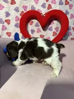 processed/c6de2610-cabb-4a21-b945-dff2f15626d2/listing/2be1b9e7-92a5-4ea7-891d-a719e97dda4f/6a50b946-dba3-4518-8e10-cd46b261b492