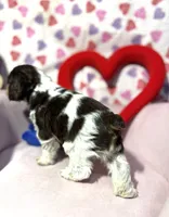 processed/c6de2610-cabb-4a21-b945-dff2f15626d2/listing/2be1b9e7-92a5-4ea7-891d-a719e97dda4f/d90fc540-ad56-4559-bb51-bb313e736788