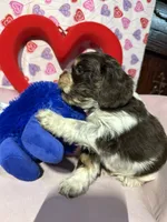 processed/c6de2610-cabb-4a21-b945-dff2f15626d2/listing/2be1b9e7-92a5-4ea7-891d-a719e97dda4f/e4df066b-1bb0-4830-9f34-65dfe4d3782b