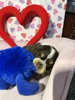 processed/c6de2610-cabb-4a21-b945-dff2f15626d2/listing/2be1b9e7-92a5-4ea7-891d-a719e97dda4f/f1e70437-6e62-458b-b2ec-443c129510aa