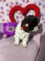 processed/c6de2610-cabb-4a21-b945-dff2f15626d2/listing/2db06a20-9cba-439e-989a-122b5ff86735/15dc7127-2ca6-4e67-8832-0fb3db7b680c