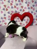 processed/c6de2610-cabb-4a21-b945-dff2f15626d2/listing/2db06a20-9cba-439e-989a-122b5ff86735/180c3d08-ba6f-459f-8186-8f4cadb5df80