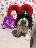 processed/c6de2610-cabb-4a21-b945-dff2f15626d2/listing/2db06a20-9cba-439e-989a-122b5ff86735/6e0d8851-deba-4000-a58a-cc68d8c45bbf