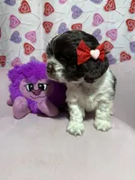 processed/c6de2610-cabb-4a21-b945-dff2f15626d2/listing/2db06a20-9cba-439e-989a-122b5ff86735/9da5cb2b-b1e7-4137-88bc-fb8ac72174ab